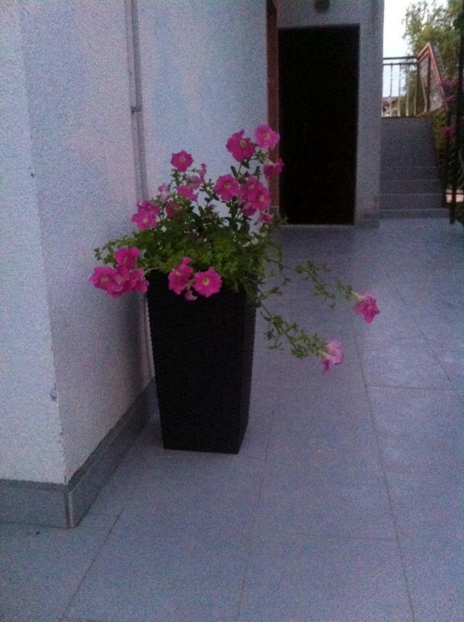 Apartmani Jadranka Vodice Exterior photo